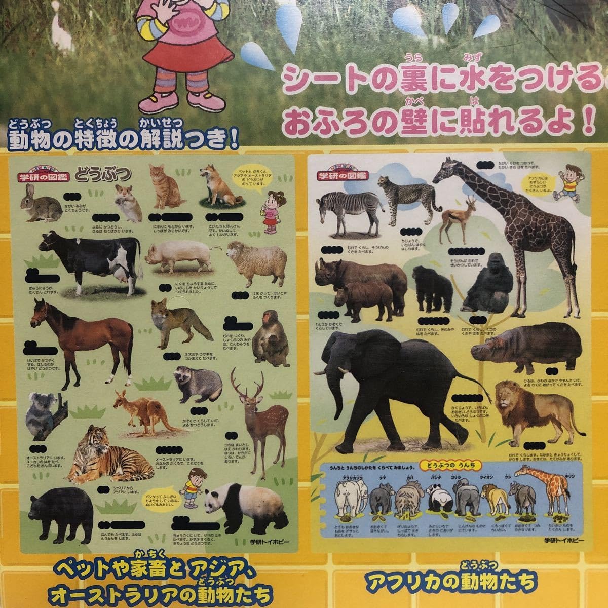 Amazon.co.jp: 学研トイホビー おふろでお勉強シリーズ NEW WIDE 学研