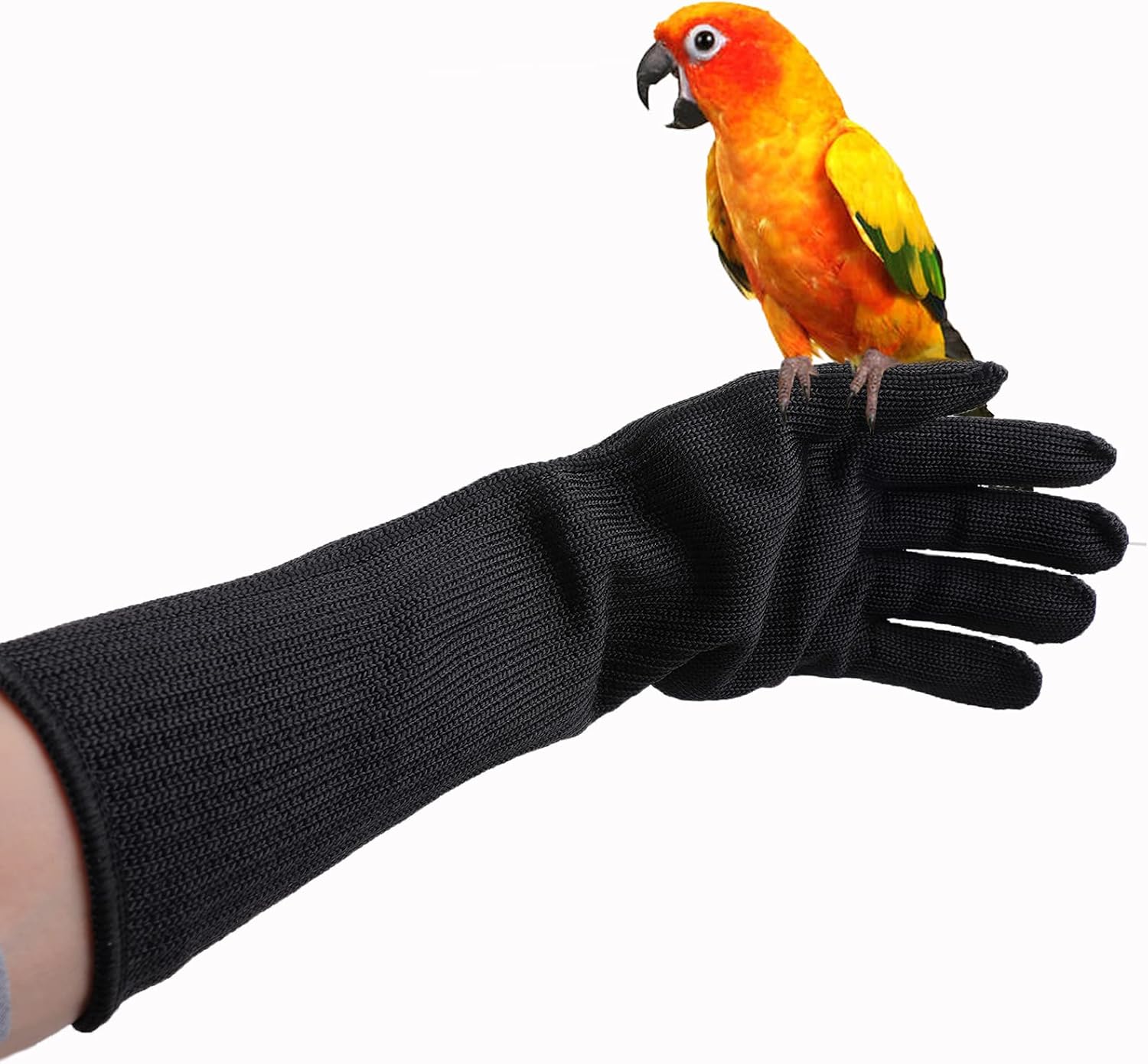 QBLEEV Bird Training AntiBite Gloves, Small Animal Handling Gloves