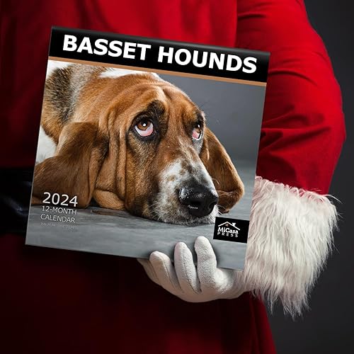 Miniatura 6 de MICASA Basset Hounds 2024 Calendario mensual de pared colgante  12 x 24 pulgadas abierto  Papel grueso y resistente  Regalo  Lindo perro