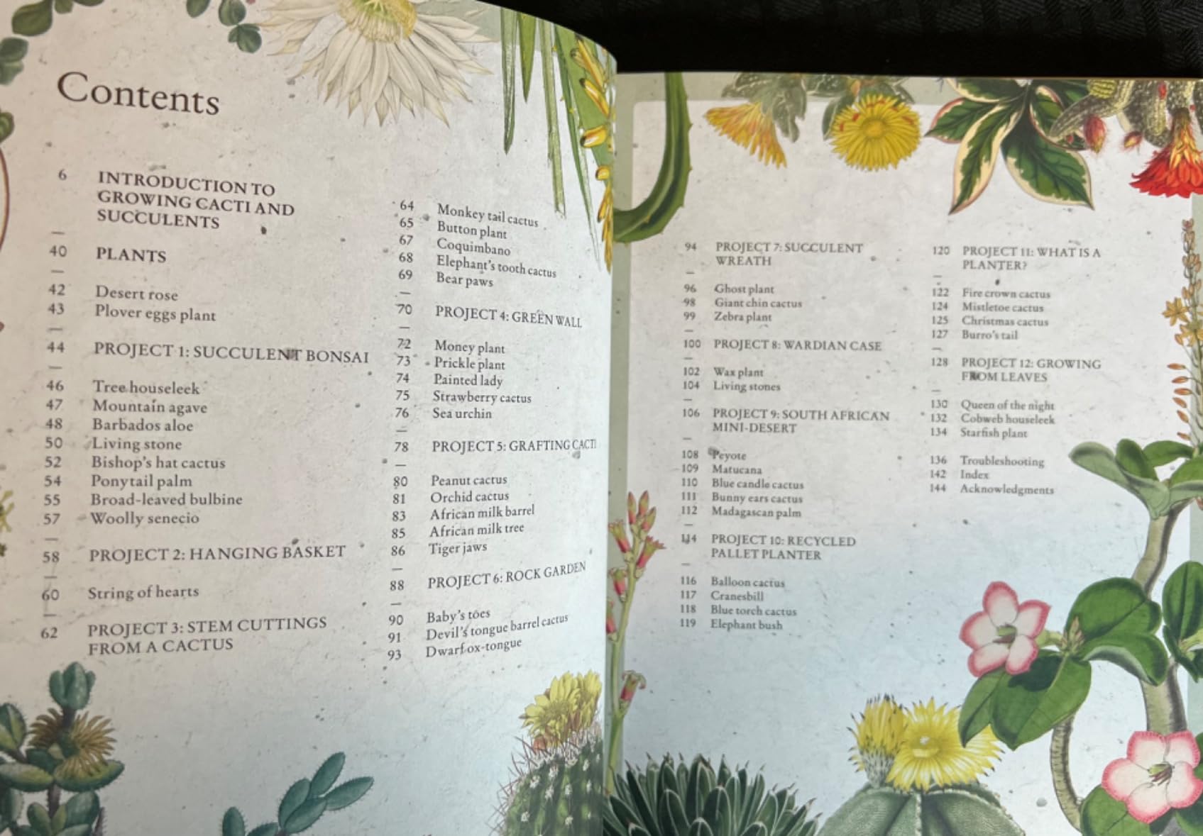 Kew Gardener's Guide to Growing Cacti and Succulents: The Art and ...