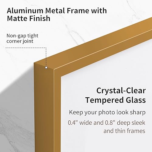 Miniatura 110 de Fun Memories Portarretratos de metal de 16 x 20 pulgadas con paspartú de 11 x 14 pulgadas, acabado de aluminio cepillado, parte delantera de vidrio