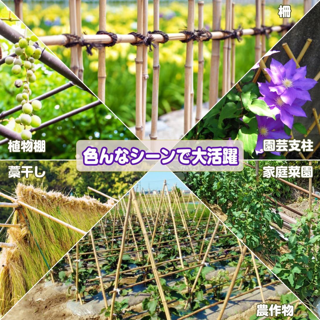 Amazon | 国華園 園芸 支柱 竹 12~15mm 180cm 25本 天然竹 女竹 トマト