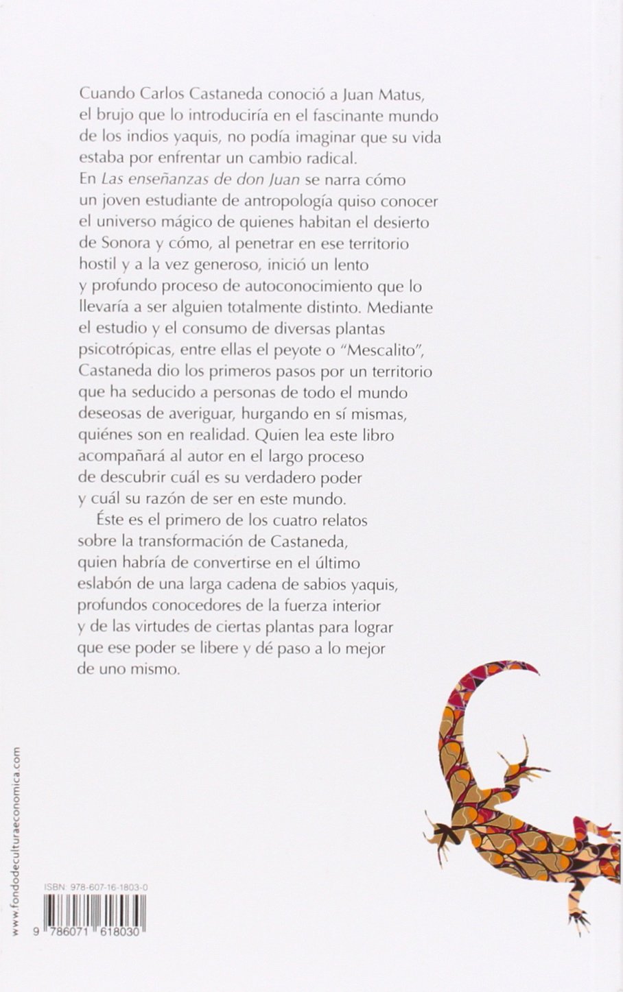 Las enseñanzas de don Juan. Una forma yaqui de conocimiento (Spanish Edition)