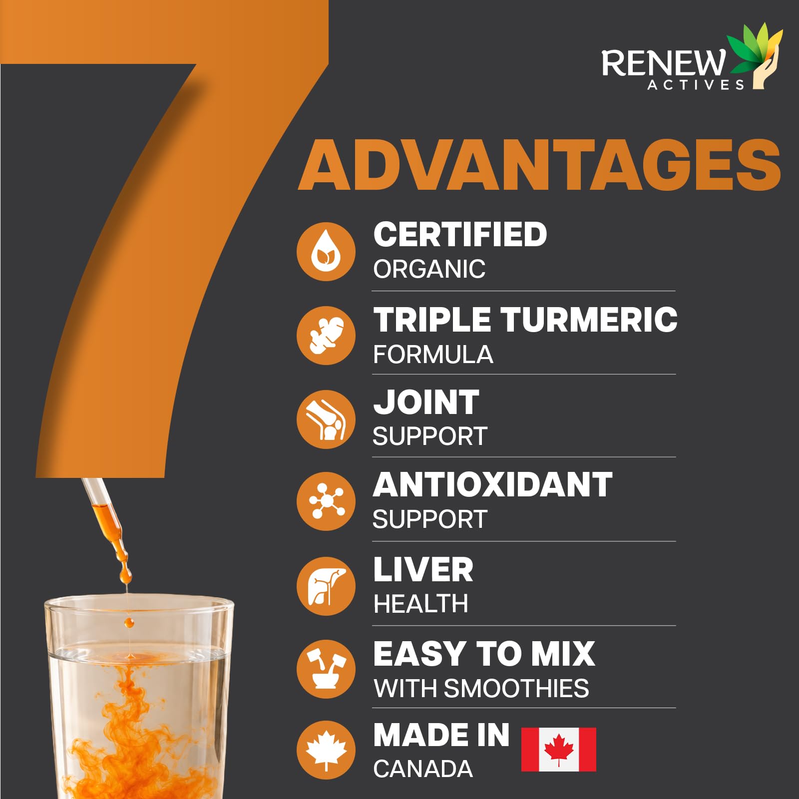 Renew Actives Turmeric Liquid Extract with Ginger & Lemon Oil — Amazon image 6