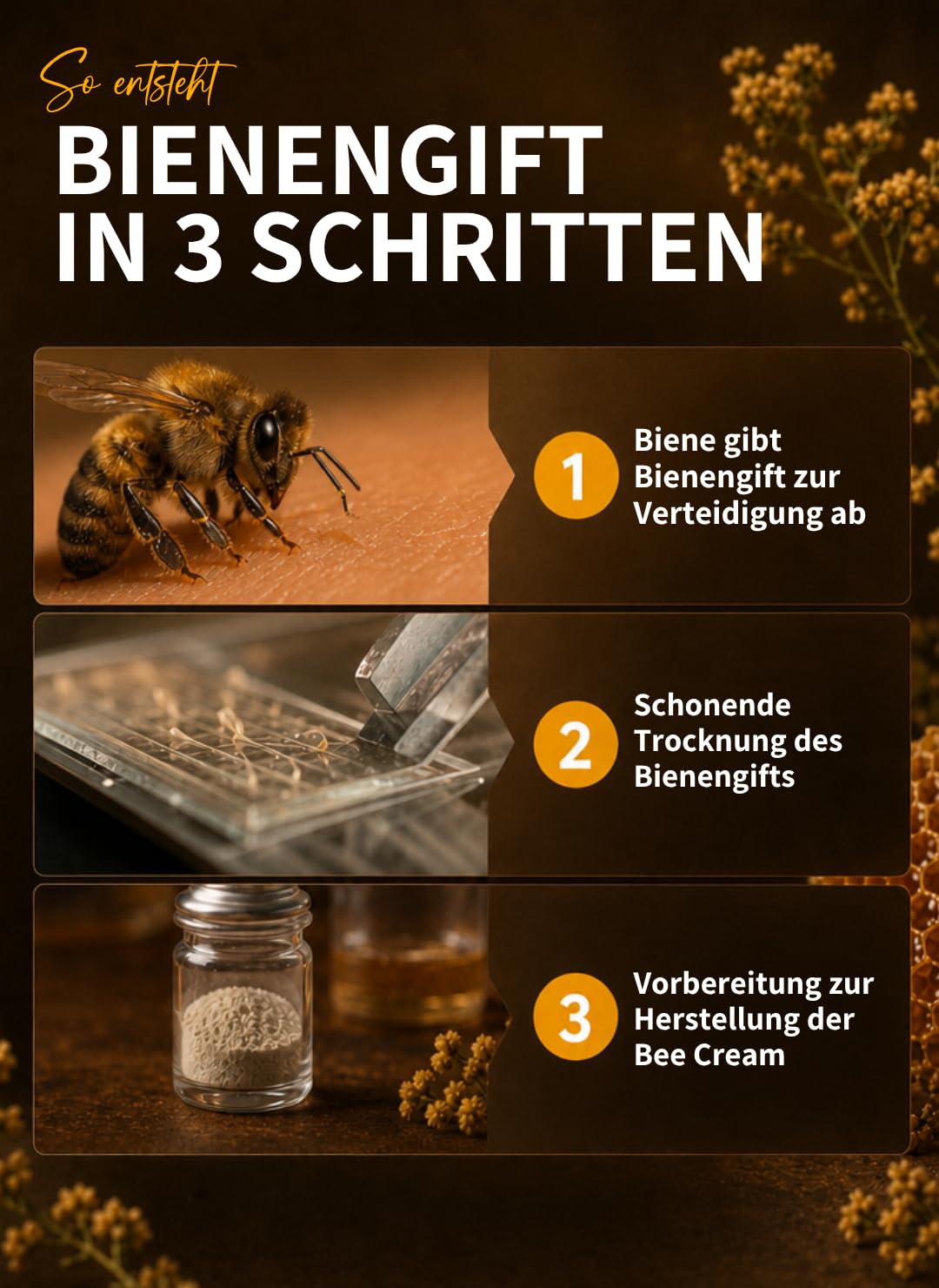 bedrop Bienengiftsalbe hochdosiert (kühlend & wärmend) - Bee Cream Bienengiftcreme für den Körper mit Bienenwachs und 8 Kräuterextrakten, wie Aloe Vera, Ringelblume, Eukalyptus und Rosskastanie 100g