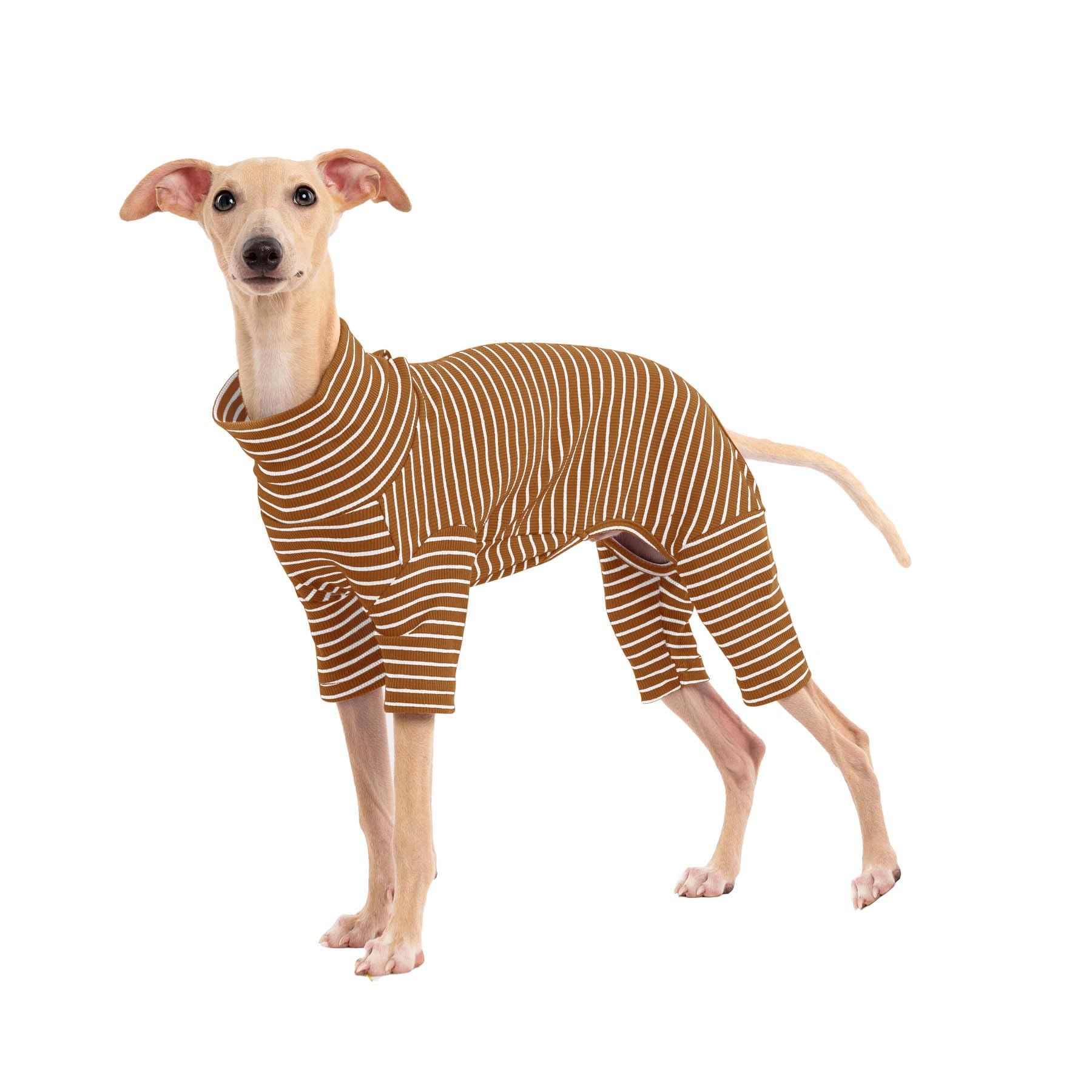 Dog Sweaters for Small Dogs Girls Boys, Striped Pet Sweaters for Fall Winter Dog Clothes, Turtleneck Pullover Knitwear for Small Medium Large Dogs
