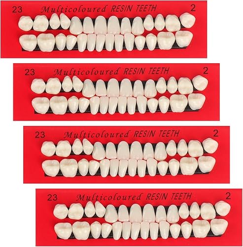 4 Sets Acrylic Resin Artificial Teeth Acrylic Dentures Upper and Lower Teeth