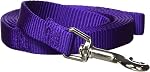 Hamilton Single Thick Deluxe Nylon Lead with Swivel Snap, 5/8-Inch by 6-Feet, Hot Pink