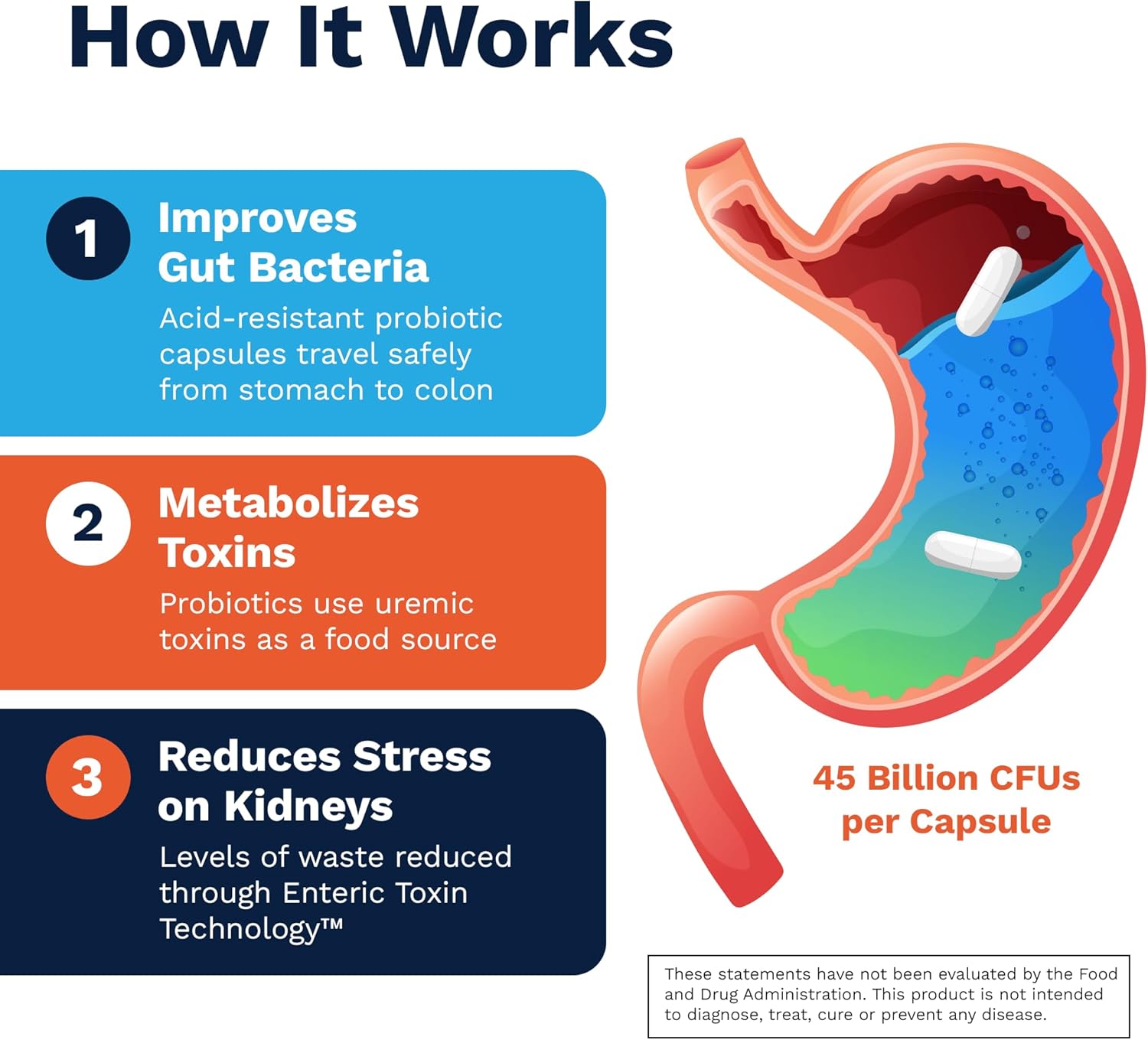 Renadyl Kidney Probiotic Supplement | Urea, Creatinine, & Uric Acid Support | 45 Billion CFUs | Clinically Tested, Non-GMO, & Made in USA, 60 Capsules (1 Bottle, 1 Month Supply)