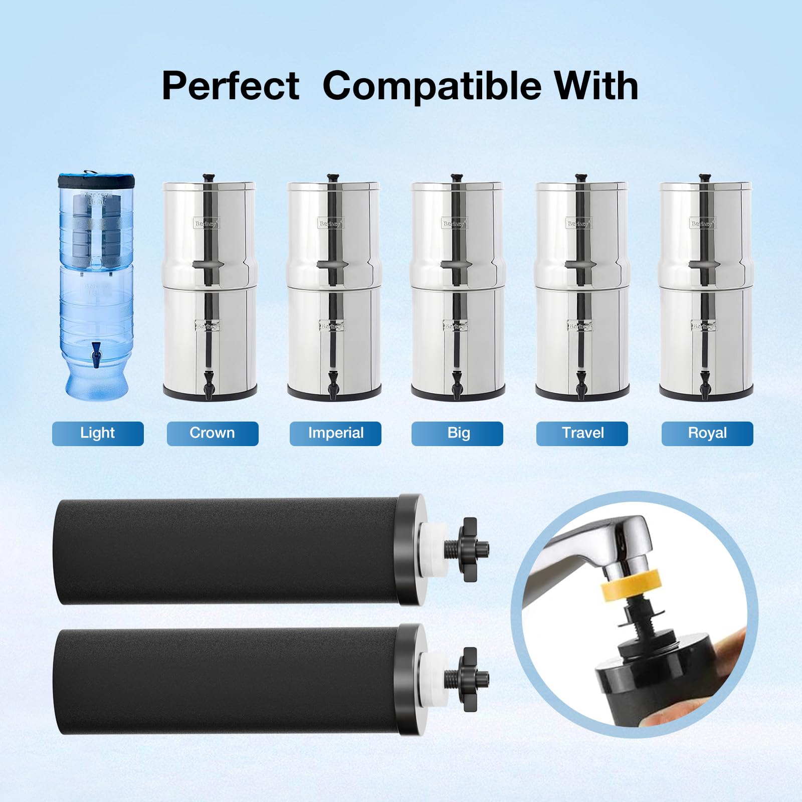 Purewell BB8 - 2 filtri di ricambio per purificatori d'acqua, compatibili con sistemi di ultrafiltrazione a gravità