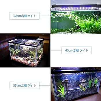 ‎*様 ADA アクアリウム 水槽セット　※ライトはついてないです アクアリウム】60cm水槽 自作ライトスクリーンADAの約半額で完璧