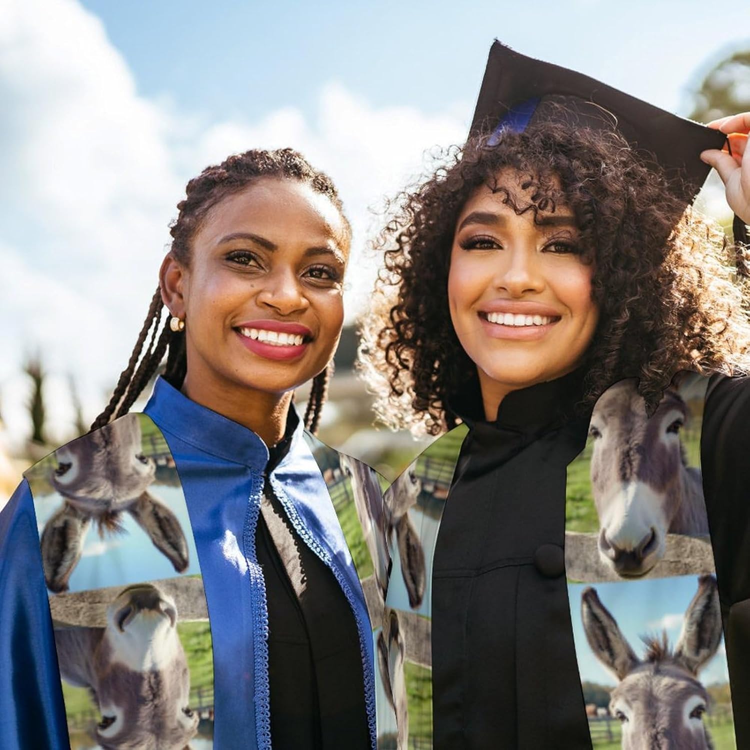 Funny Donkey Unisex Novelty Scarves 72" * 6" Graduation Stole Personalized Honor Sash for Adult College Grads