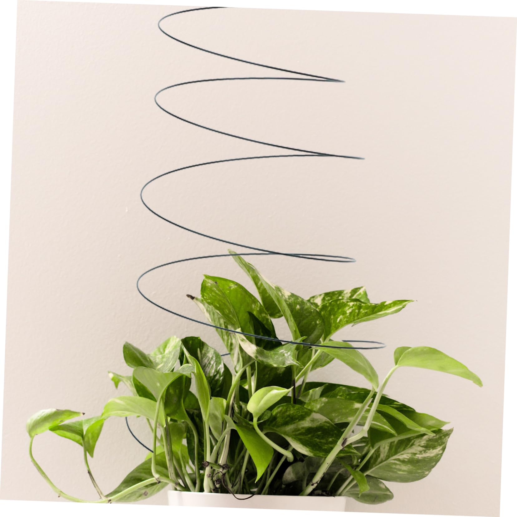 Poteaux de Support Spiralés pour Plantes Grimpantes 2 Pièces
