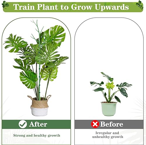 Miniatura 6 de Belinreli Paquete de 6 estacas de soporte para plantas de ramitas de 39.37 pulgadas, palos de soporte para plantas Monstera con clips de orquídea,