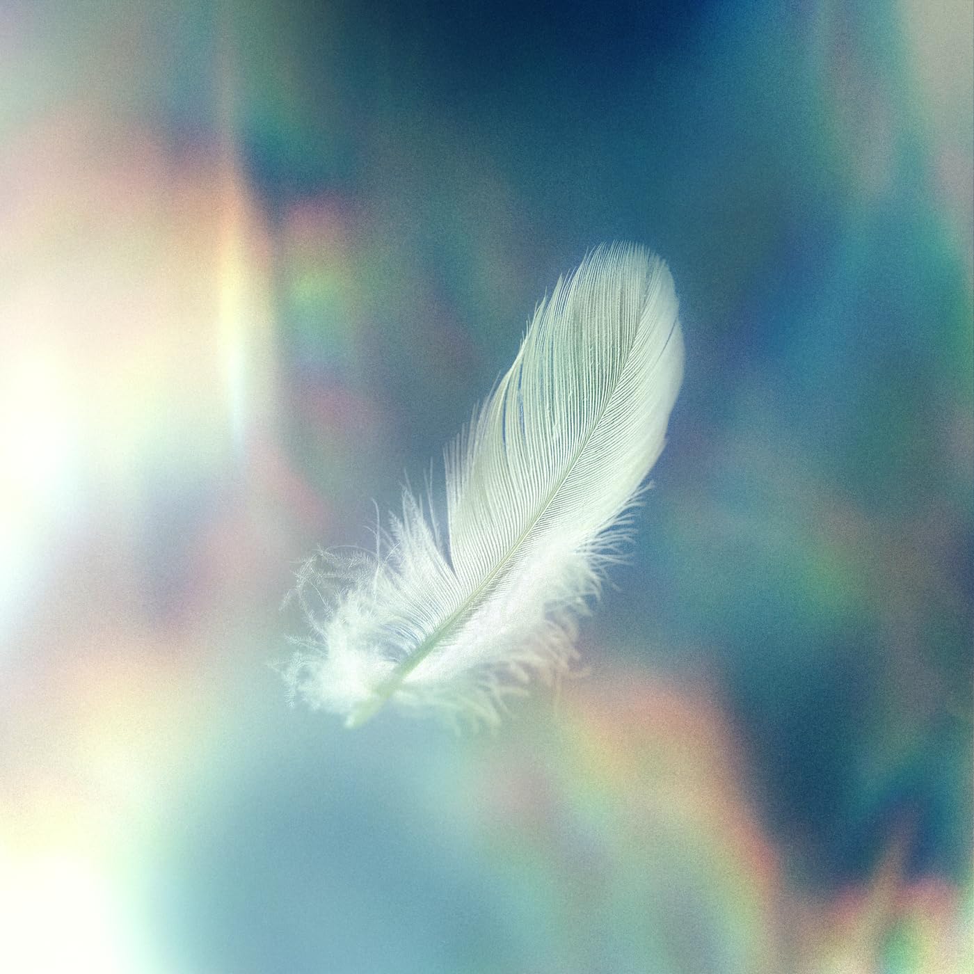 Lakewood Music Español