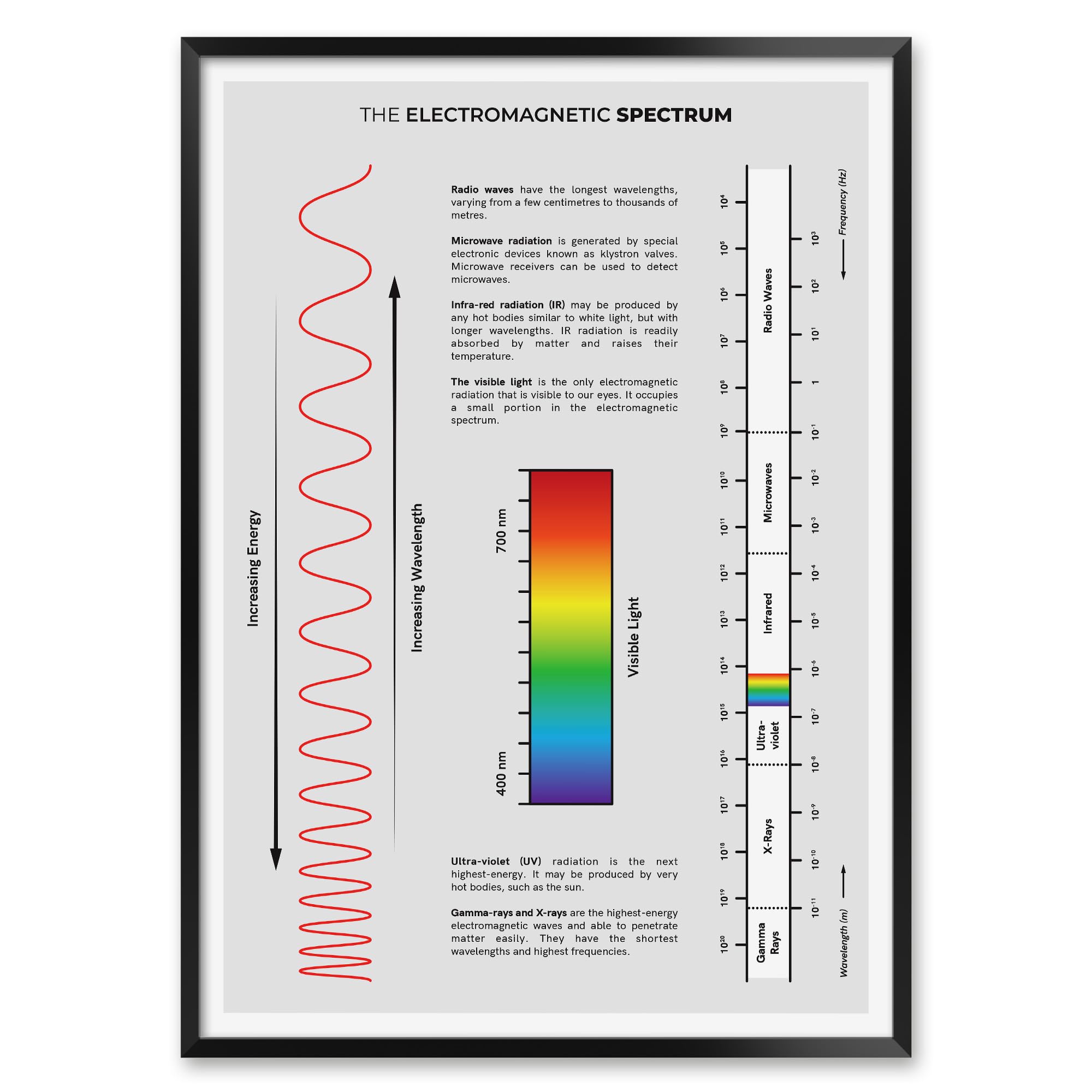 Amazon.com: MeloPrints Electromagnetic Spectrum Print, Physics