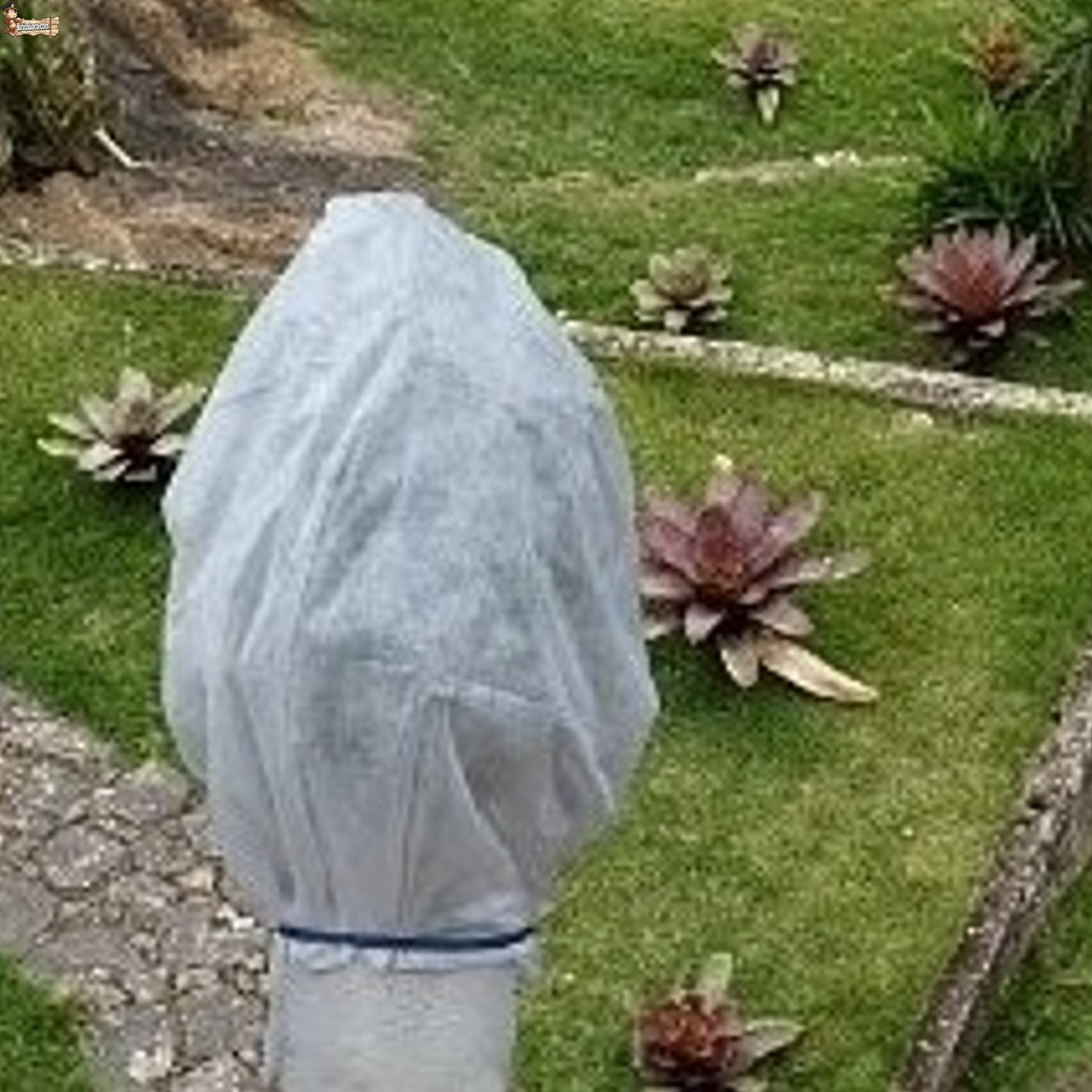 BricoLoco.com Confezione di copertura protettiva gelate piante tessuto protezione invernale coperta in rete geotessile Tessuto antigelo Velo ibernazione 1,80 MTS. x 1,25 MTS. (6)