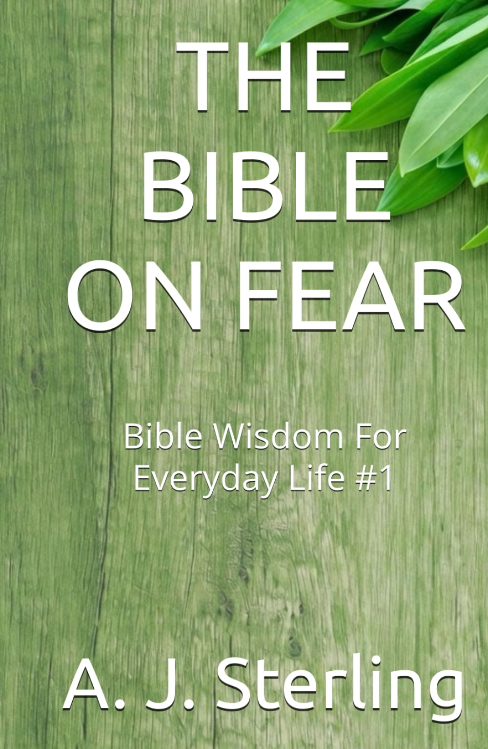 THE BIBLE ON FEAR: Bible Wisdom For Everyday Life #1