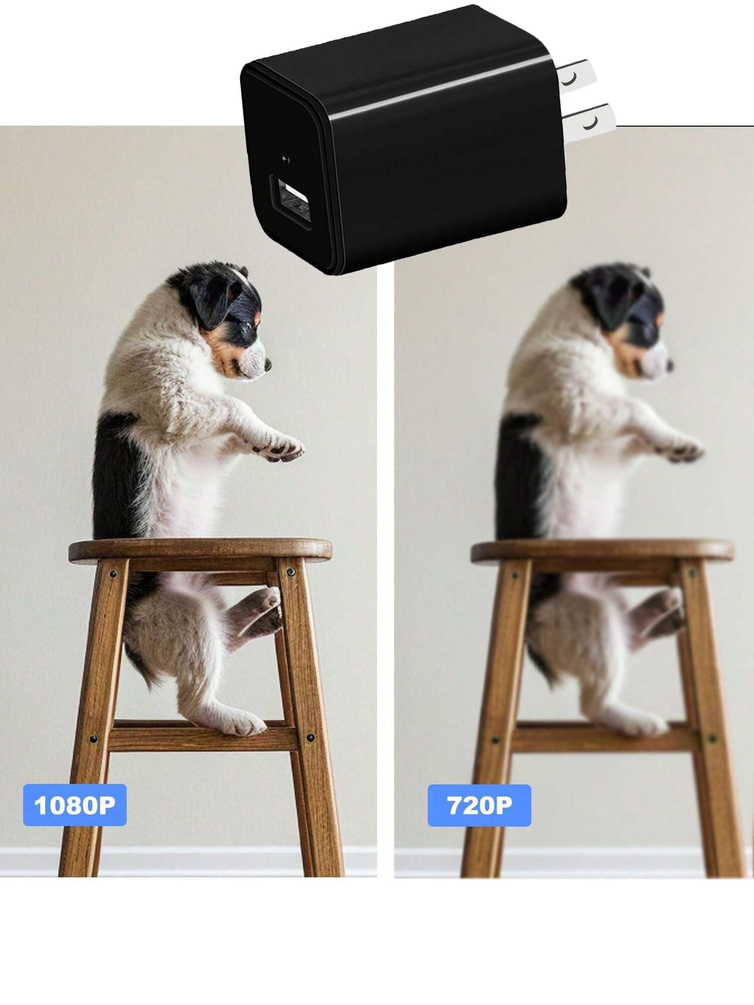 Caméra de Surveillance 1080P HD avec Détection de Mouvement pour Animaux, Vision Nocturne à Distance, 16G