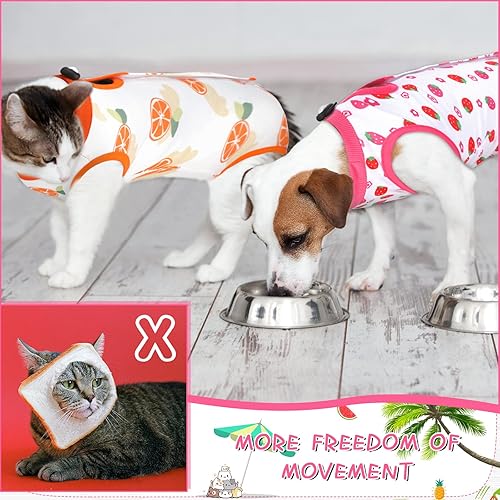 Miniatura 7 de Traje de recuperación de 3 piezas para gatos, traje de recuperación de gatito, alternativa de cuello electrónico para gatos y perros, traje de
