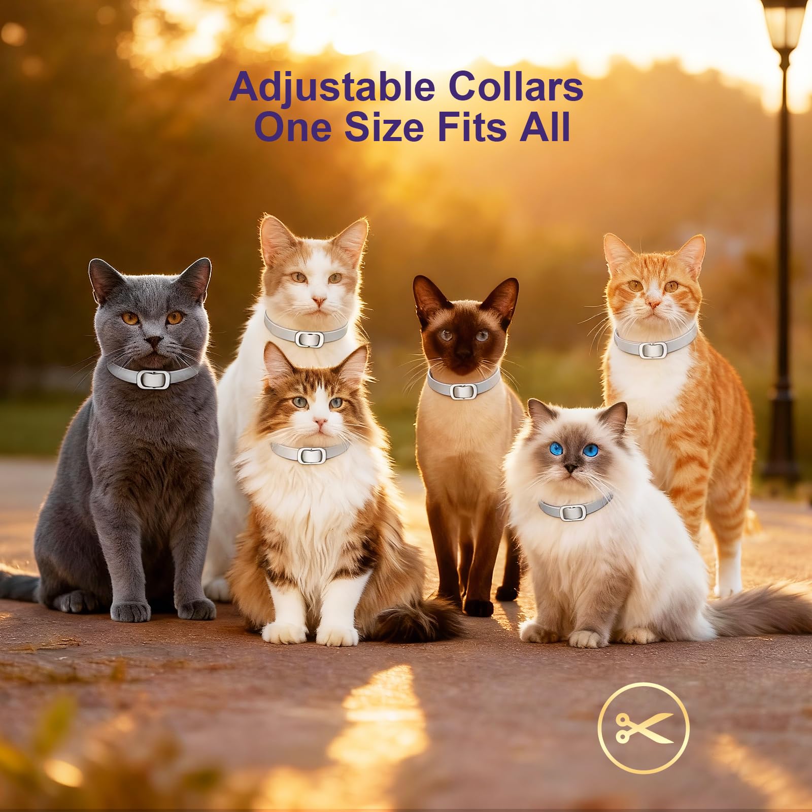 Flea and Tick Collar for Cats (4 Pack), Plant-Powered with Natural Essential Oils, Water-Resistant, Adjustable for All Cats & Kittens (Gray) - image 4