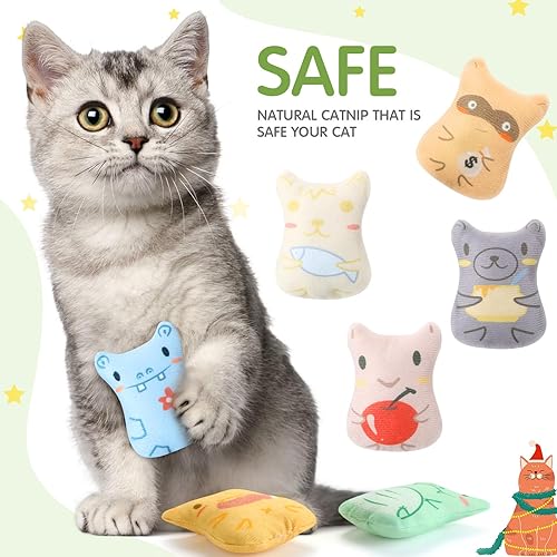 Vista 13 de Gejoy 20 piezas de juguetes de hierba gatera para gatos de interior, juguetes para masticar, encantadores gatitos con hierba gatera entretenidos e