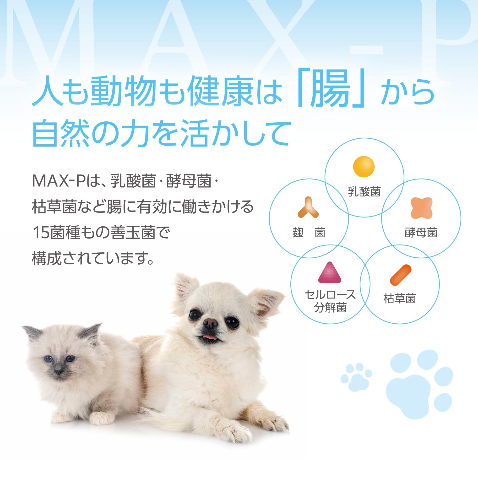 Amazon | MAX-PROBIO ペット用整腸食品 MAX-P 40g 腸内環境改善 免疫力