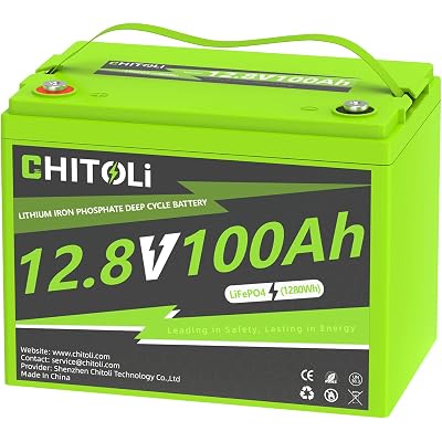 12V 100Ah BCI Group 24 LiFePO4 Battery, Max. 15000 Deep Cycle Lithium Rechargeable Battery, Built in 100A BMS for RV, Trolling Motor, Camping, Marine, Home Energy Storage