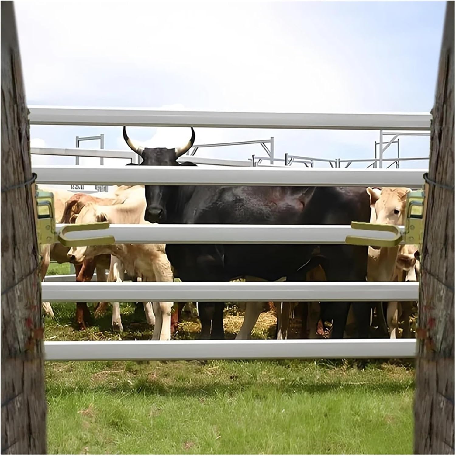 Instant Locking Gate Latch Instant Locking Gate Latch – Heavy-Duty One-Hand for Farm, Ranch & Backyard | Automatic Spring Lock(A)