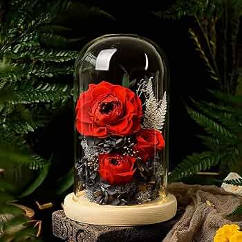 プリザーブドフラワー 赤いバラ LEDライト付き 4つセット Amazon｜プリザーブドフラワー バラ レッドローズ 薔薇 花