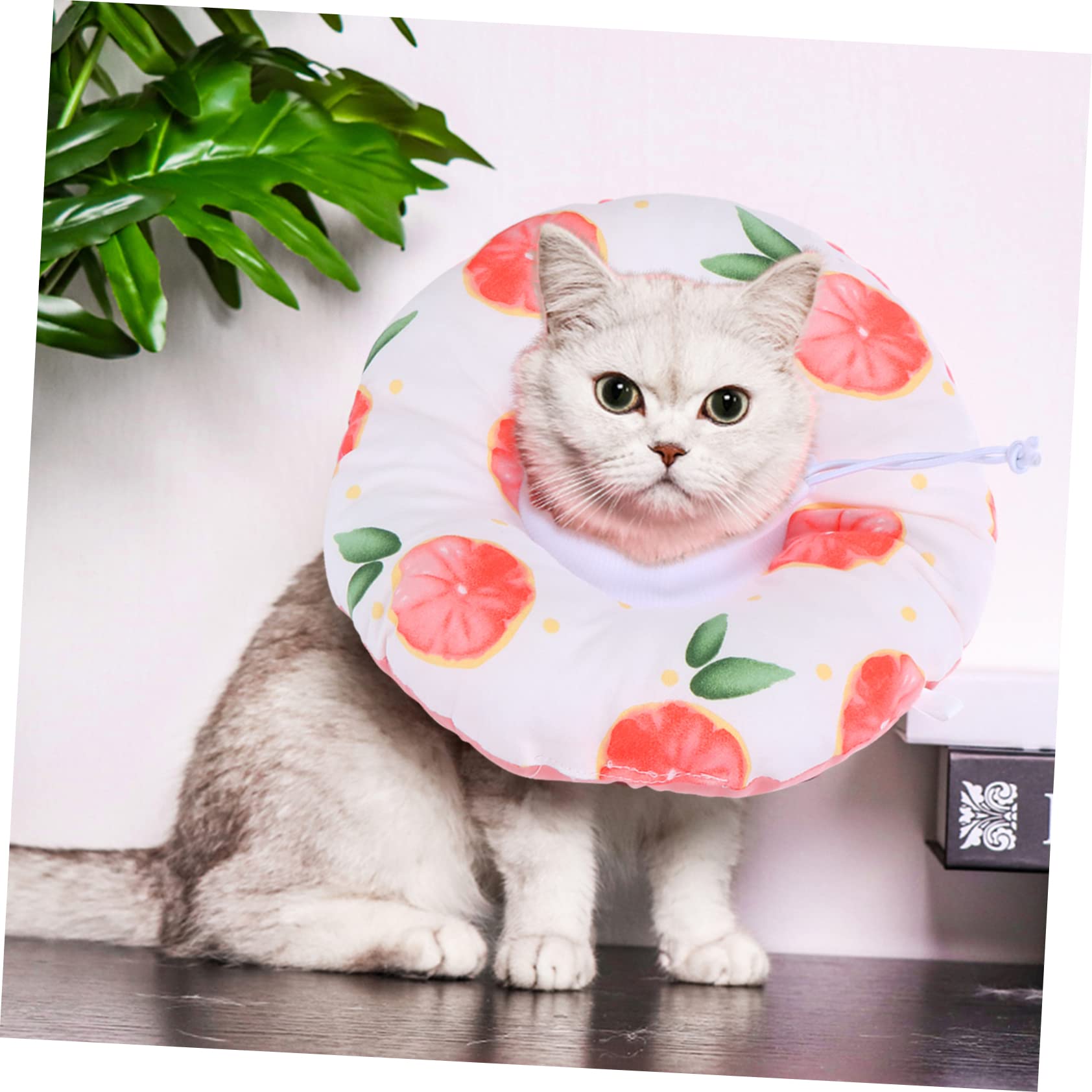 Amazon | GANAZONO 猫用復コーン カラー 保護 首輪 手術後 傷口保護
