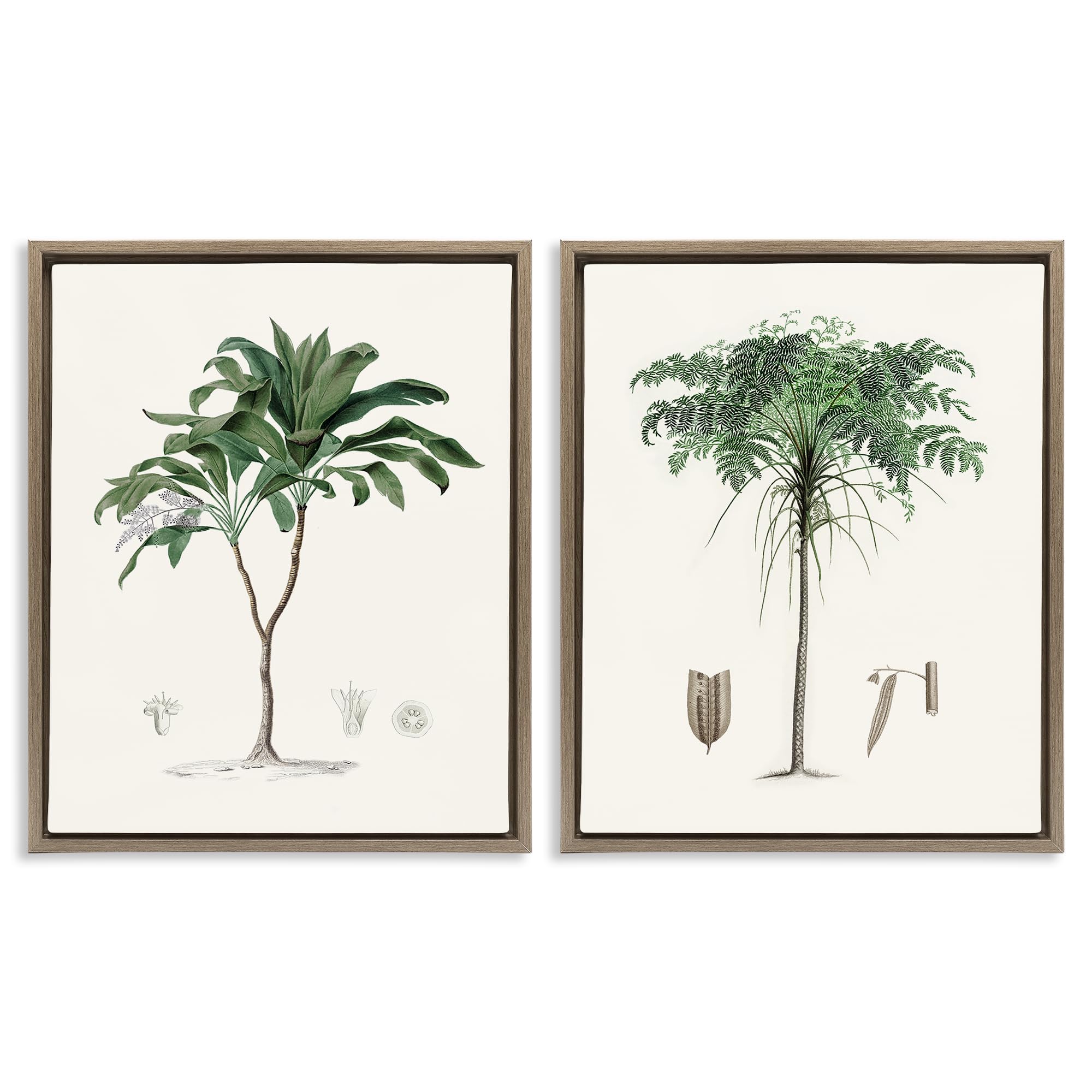 'Two Types of Palms'| 2pc Floating Frame Art Set 2