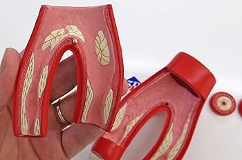 BAYER YAKUHIN LTD 心臓模型 1978年製 BAYER YAKUHIN LTD 心臓模型 1978年製