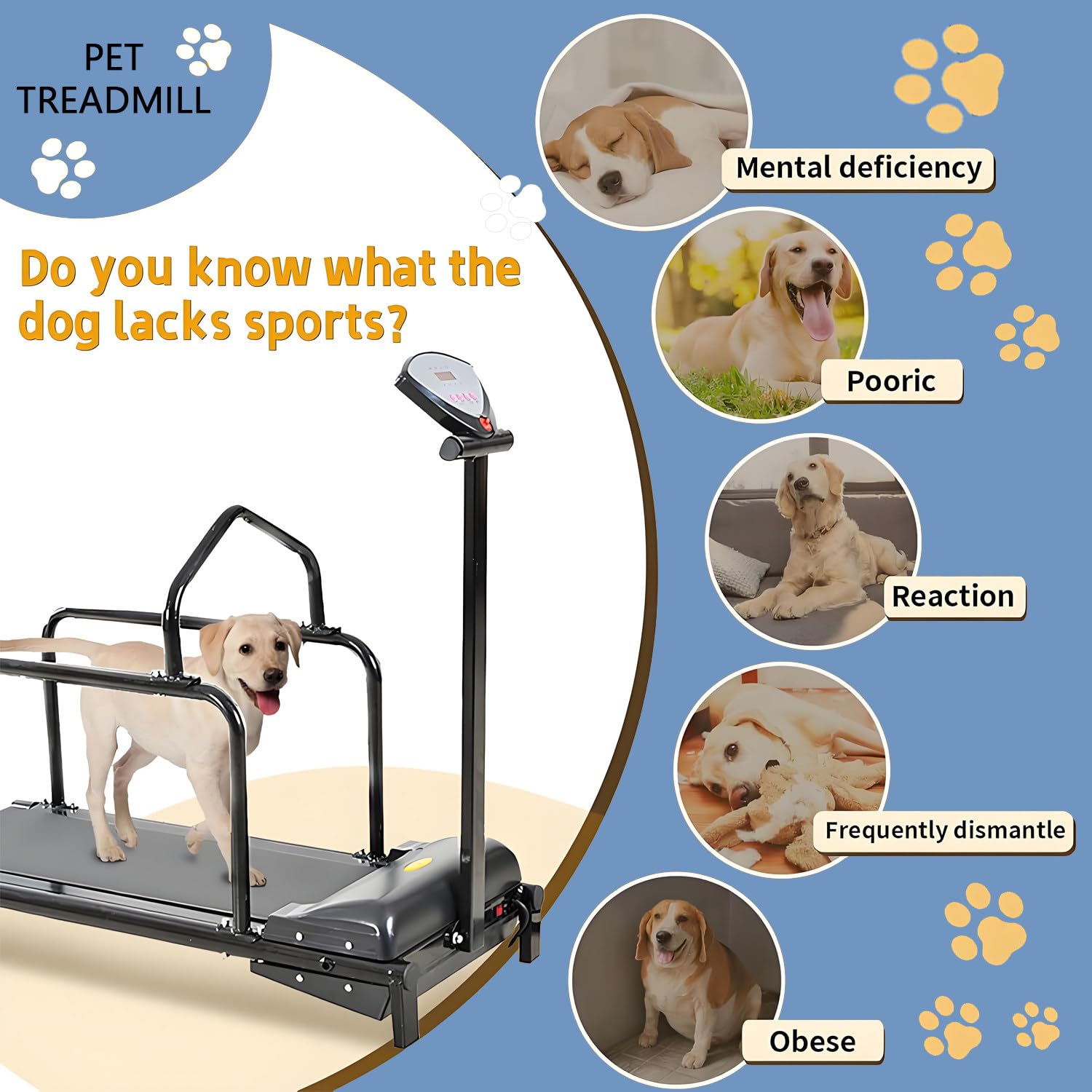 Hundelaufband für mittelgroße Hunde, Hundelaufband für kleine Hunde, Geschwindigkeitsbereich 1-6 km/h, Tragkraft 80 kg, leiser Motor für Hunde, Katzen und andere Haustiere