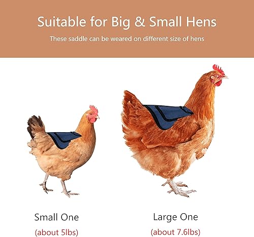 Miniatura 5 de Sillines de pollo de alta calidad de 3 piezas con correa elástica, ropa de suéter para soltero, protector de pájaros para espalda y lados,