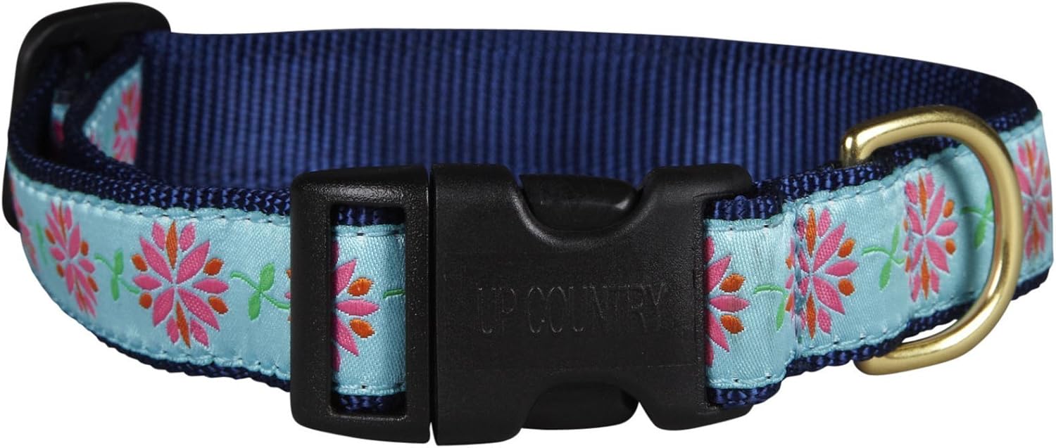 Up Country Dahlia Darling Dog Collar, Medium (12 to 18 inches) 1 inch Wide Width
