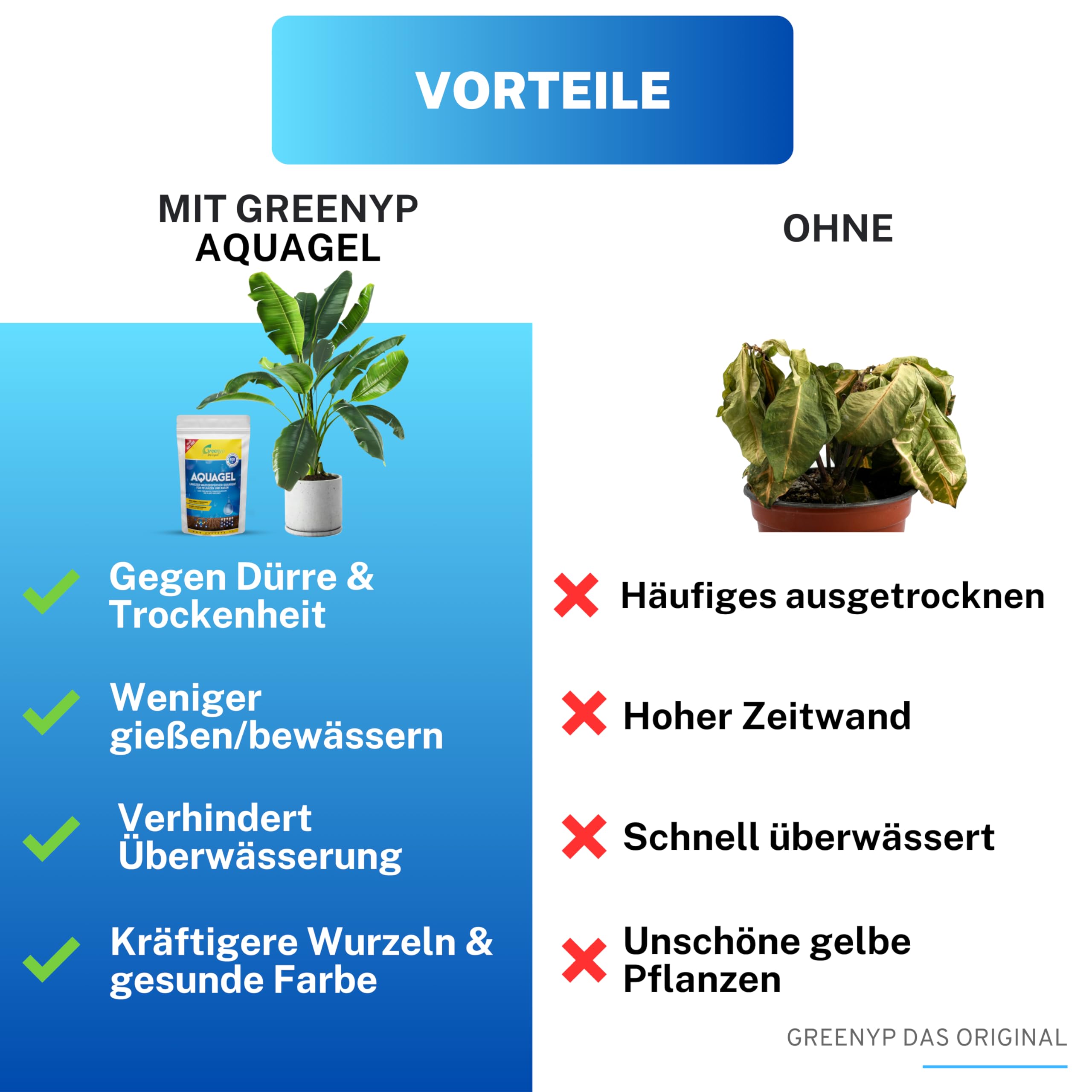 Greenyp Aquagel I Langzeit Wasserspeicher Granulat für Pflanzen, Bäume und Rasen gegen Dürre & Trockenheit I 5kg für 3400L Pflanzerde oder 250m² I speichert das 400-fache an Wasser I Superabsorber