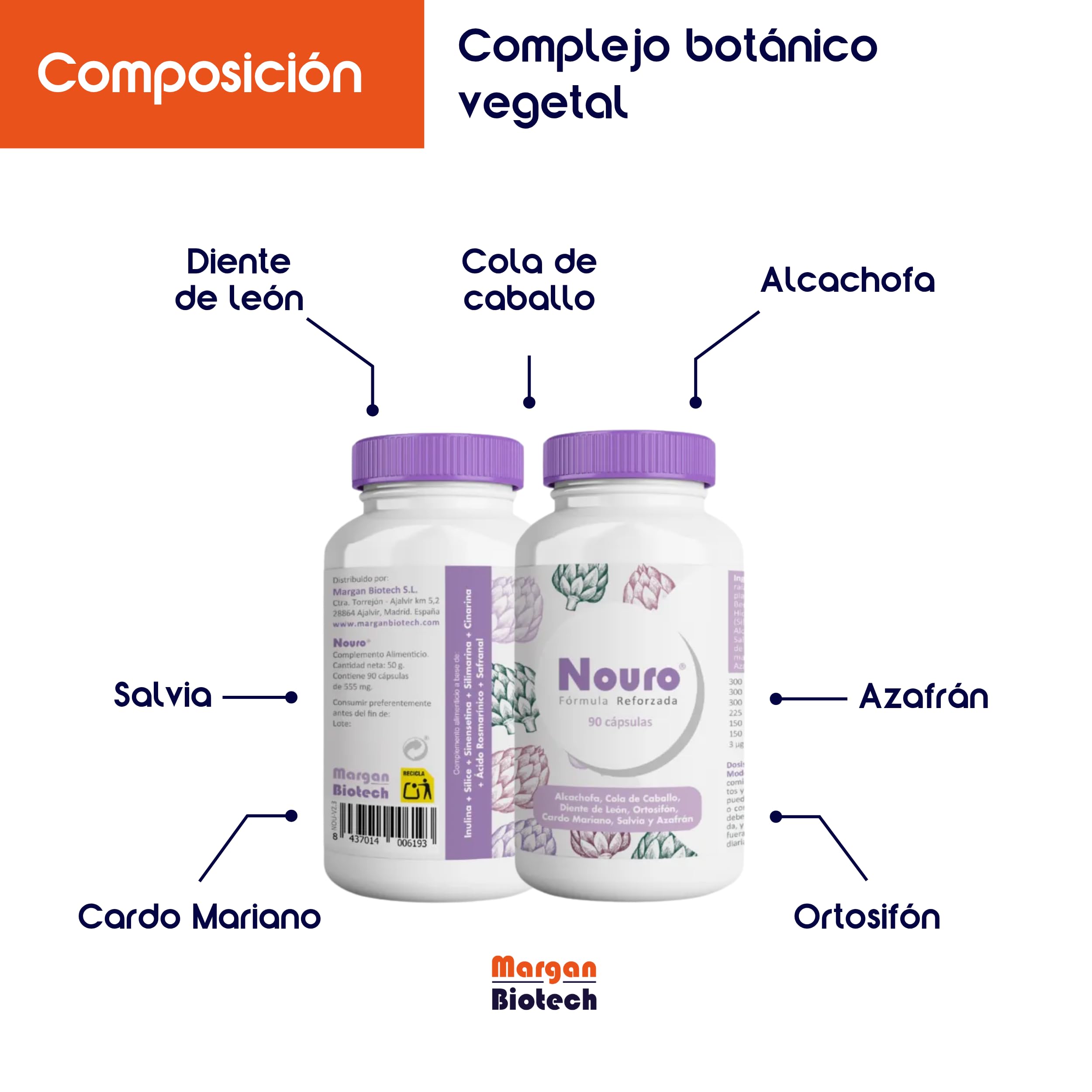 Nouro de Margan Biotech, 90 Cápsulas | Inulina | Sílica | Sinensetina | Silimarina | Cinarina | Ácido Rosmanírico | Safranal | Para Personas con Tendencia a la Retencion de Liquidos | Detox