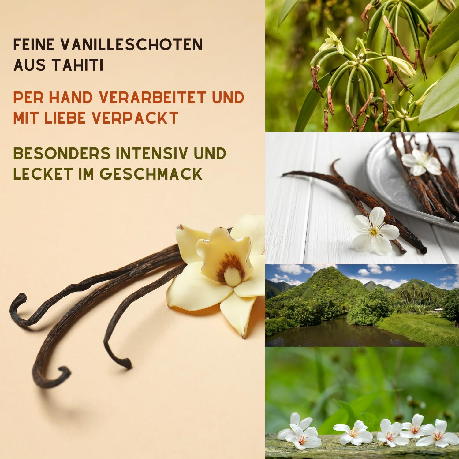 JUST VANILLA Bourbon Vainas de Vainilla 20 Piezas Enteras 42 Gramos Premium Tahití Vainilla Varillas para hornear, Cocinar, Extraer, Refinar Platos Dulces