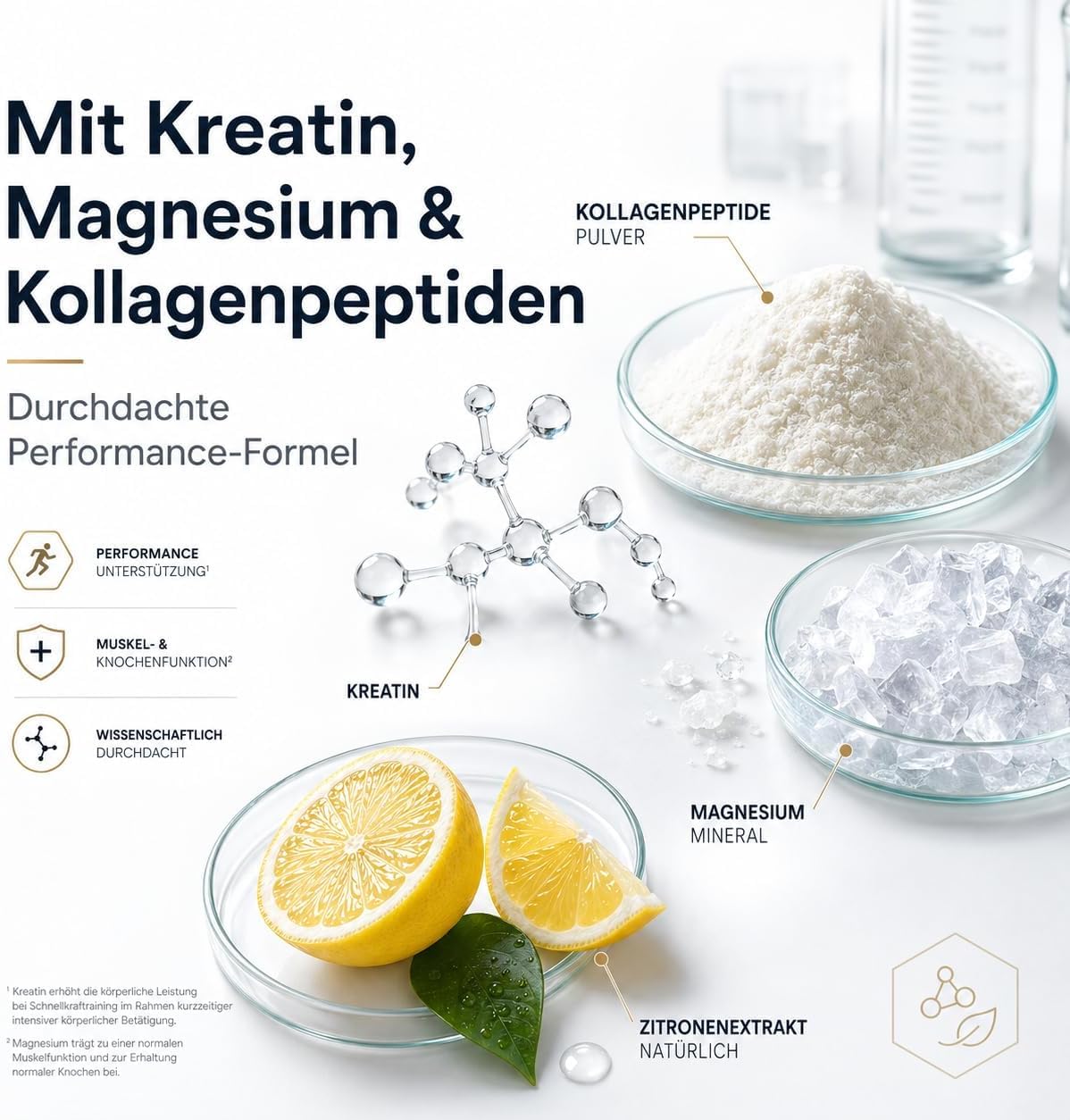 Kollagen Pulver Sport, Kreatin Magnesium MSM, 450 g, Lemon | Vitamin C, Collagen Peptide Typ I II III aus Weiderind, Kreatin Magnesium MSM, für aktive Menschen, Training & Regeneration