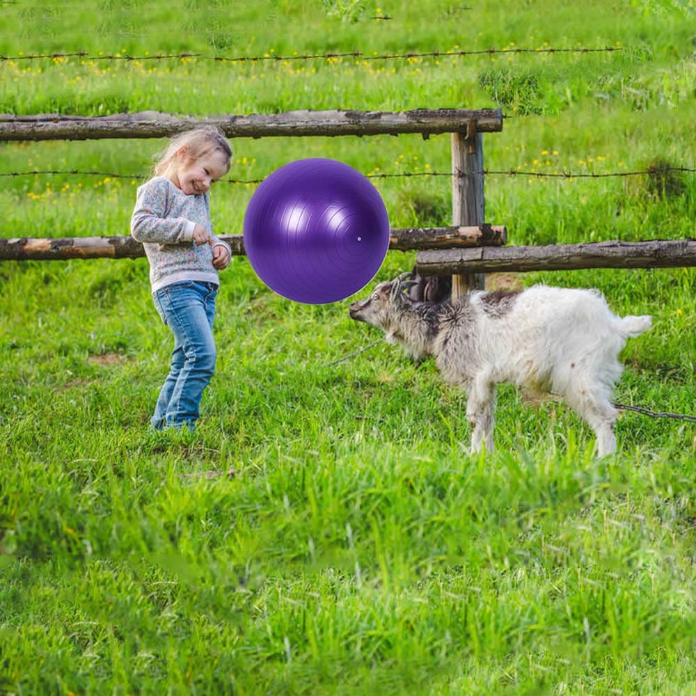 Balle de yoga de chèvre - Jouet d'entraînement anti-éclatement avec pompe de gonflage pour chèvre et agneau - 55,9 cm - Violet