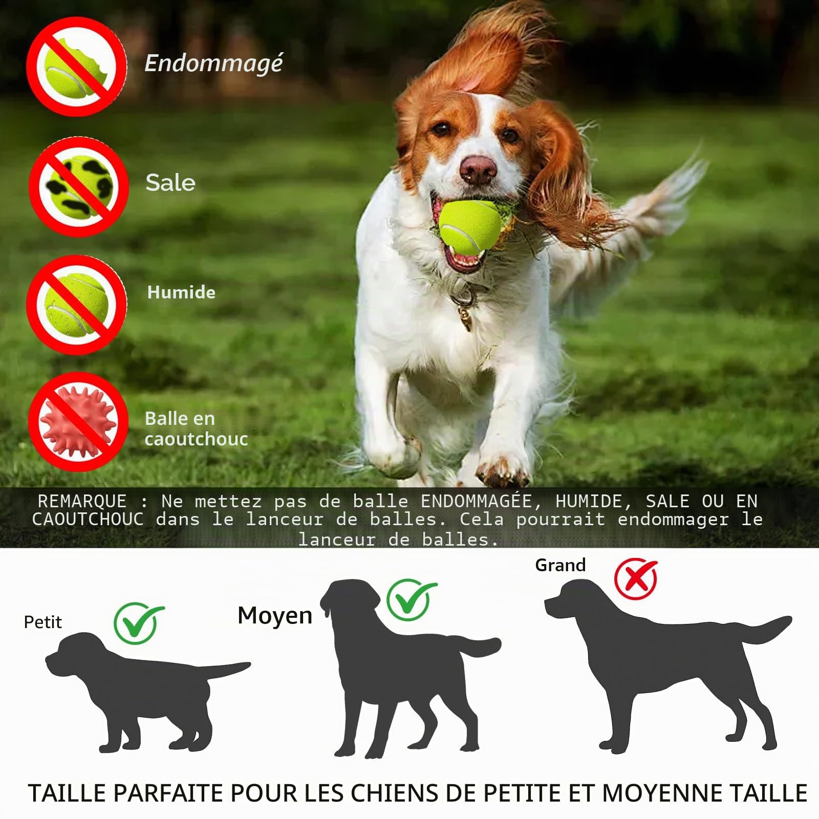 HAMON Lanceur de balles automatique pour chiens, machine à lancer des balles avec 6 balles de tennis, balle interactive pour chiens de petite et moyenne taille, portée de lancer entre 3-9 M