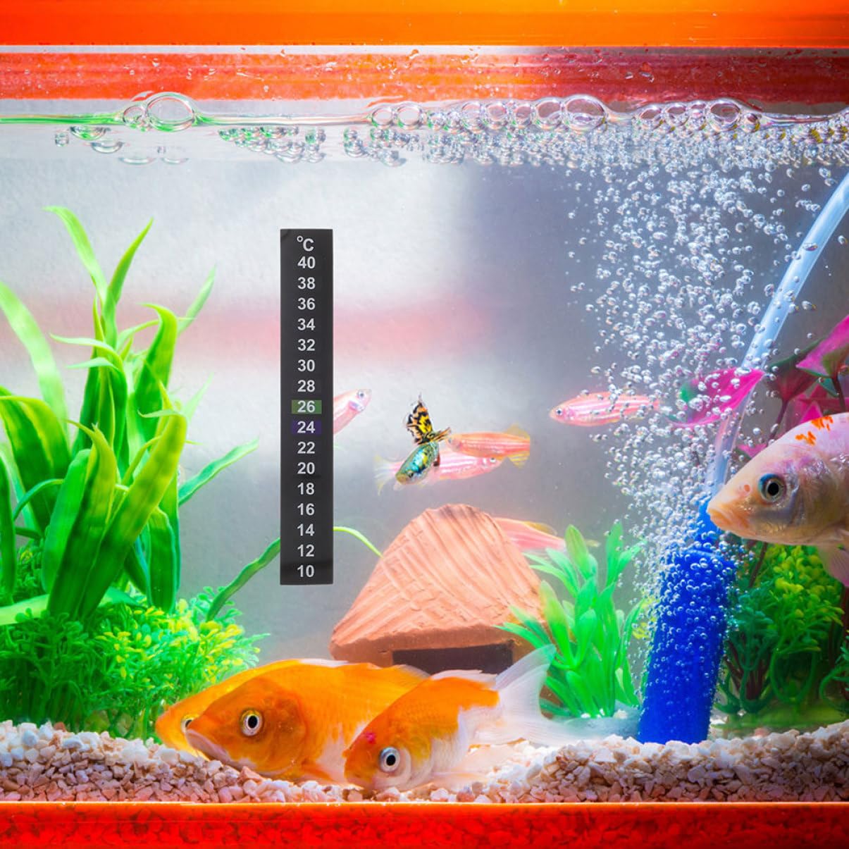 Hemobllo 12 pièces Autocollants Thermomètre Digital pour Aquarium Lot de Indication de Température Facile Stickers Adhésifs pour Aquariums et Bacs à Poissons