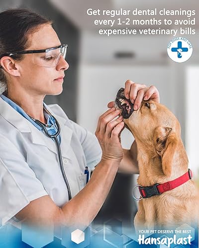 Miniatura 5 de Removedor de placa para dientes, herramientas de limpieza de dientes de mascotas, herramientas dentales para eliminar la placa y el sarro, seguro