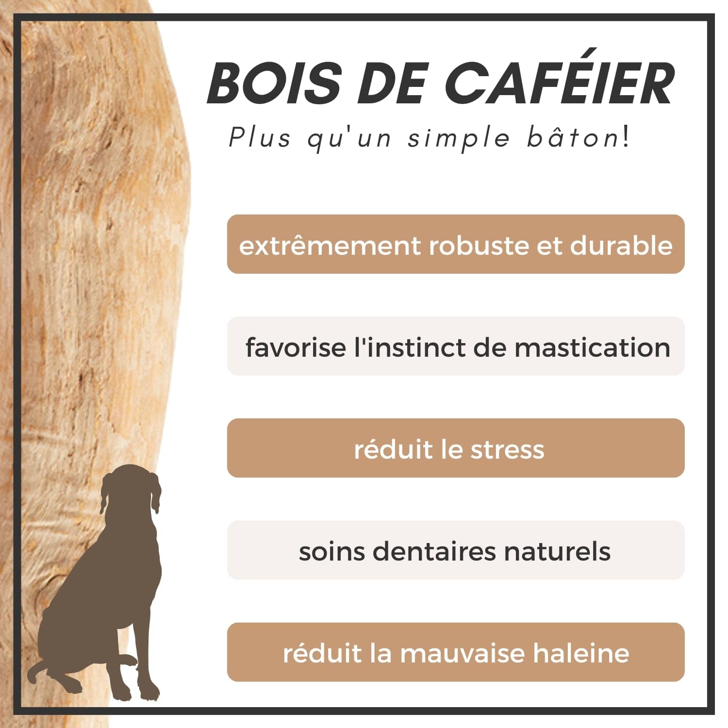 Supravit Os à Naturel en Bois de café pour Chiots XS | Plus qu'un bâton – Jouet à mâcher passionnant pour Chiot & activité Durable | Bâton à mâcher en Bois pour Chiots