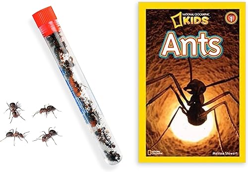 Nature Gift Store Live Ant Farm Hormigas 1 tubo de hormigas Plus Ant Book- Bundle Nature Gift Store Live Ant Farm Hormigas 1 tubo de hormigas Plus Ant Book- Bundle