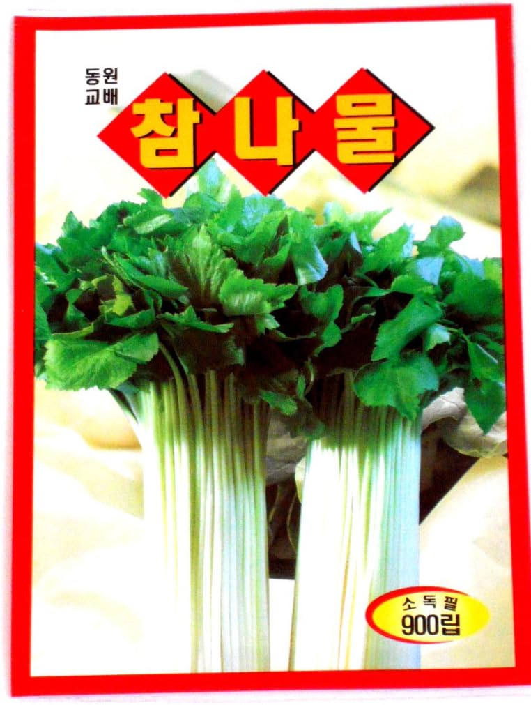 Pimpinella Seeds Korean 1pack