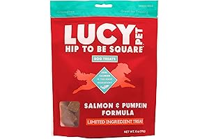 Lucy Pet Hip To Be Square Salmon And Pumpkin Dog Treats