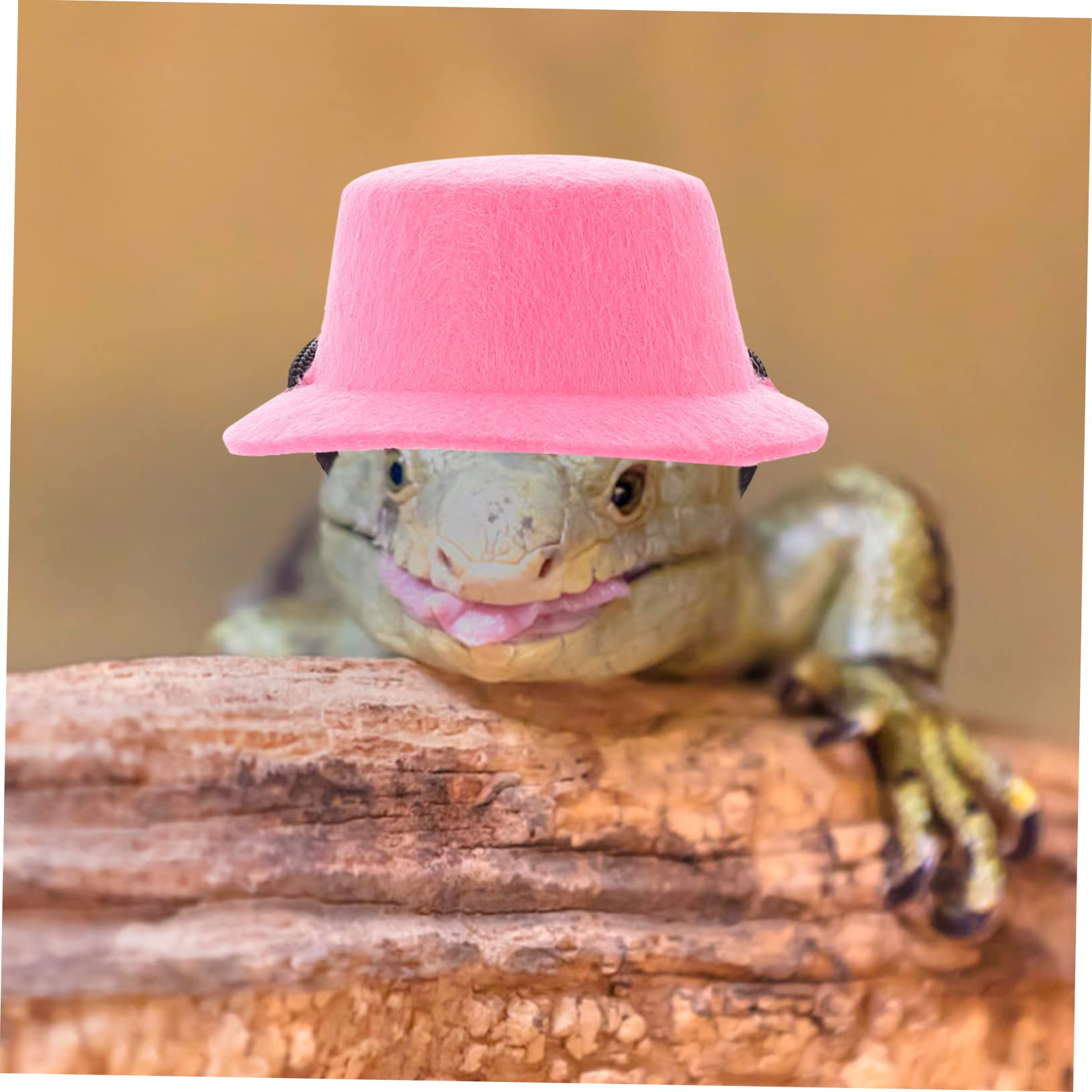 Housoutil 4juegos y Arnés Ajustable para Reptiles Sombrero De Cumpleaños Kit De para y para y Disfraces y Lazo