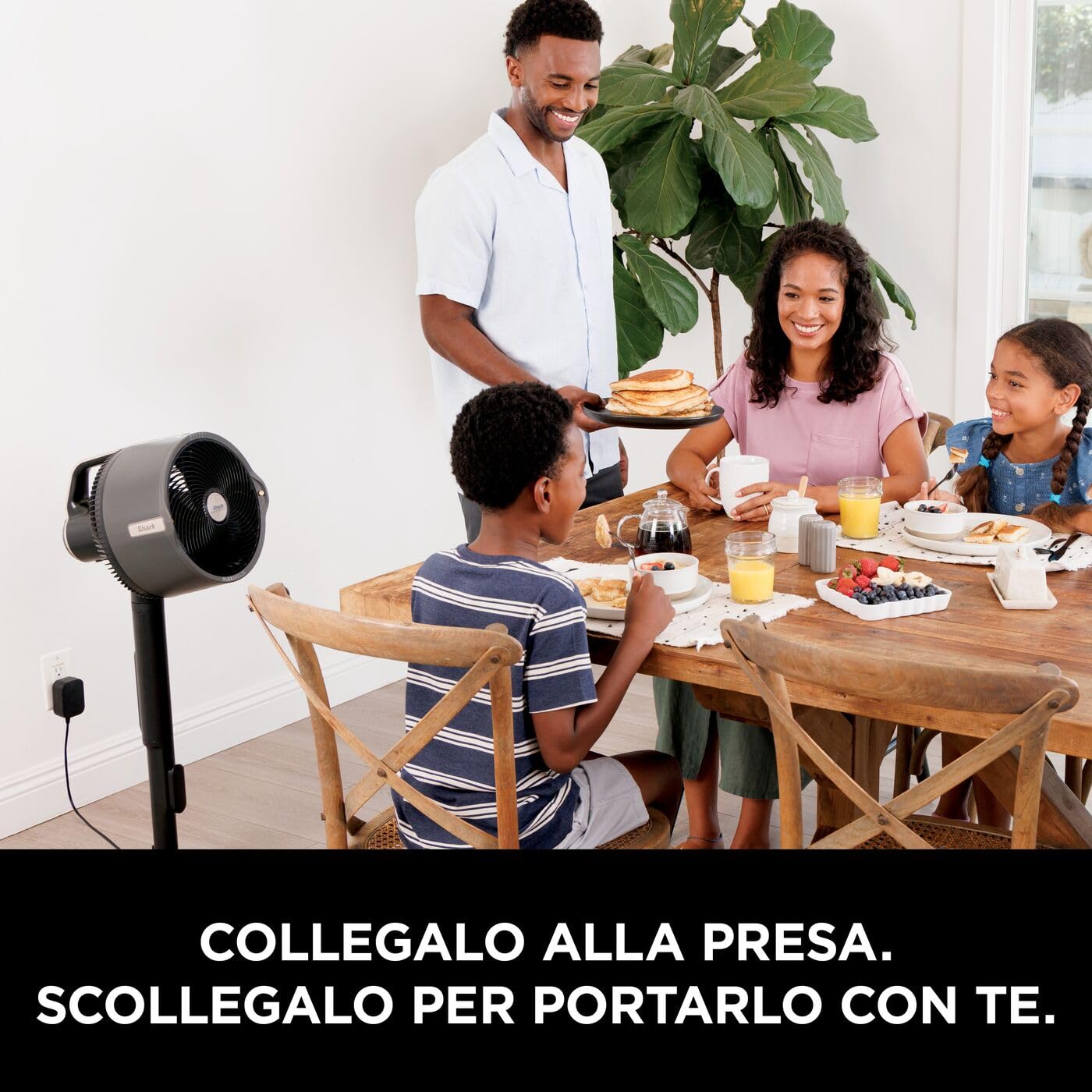 Shark FlexBreeze Pro Mist Ventilatore per Interni ed Esterni senza Filo con Nebulizzatore, Portatile, Raggio 20 m, a Piantana o da Tavolo, 5 Velocità, Silenzioso, Telecomando, Grigio Antracite FA300EU